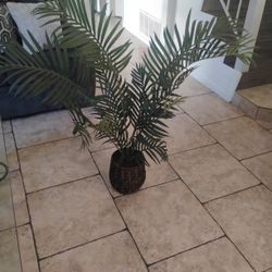 Faux Plant 