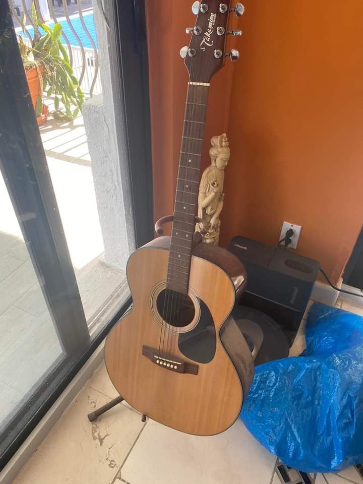 Takamine Electric Acoustic Guitar 