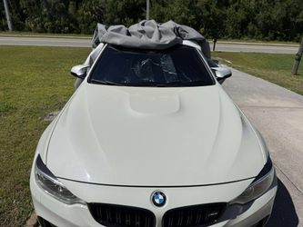 OEM M4 Hood