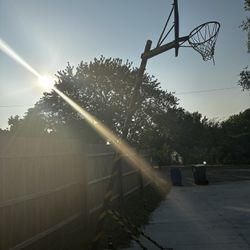 Basketball Hoop