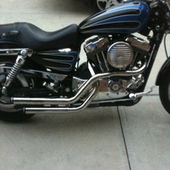 2005 Harley Davidson 1200xl Custom Sportster 