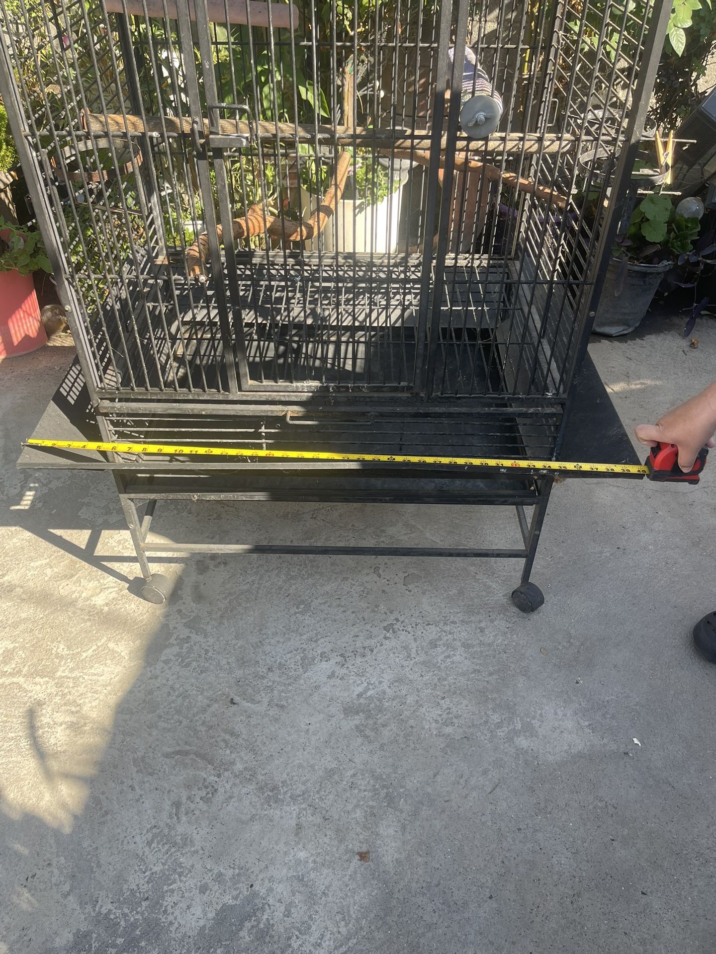 Large Bird Cage