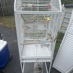 Bird Cage Heavy
