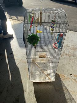 Bird Cage 