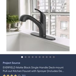 Pull Out Kitchen Faucet (Matte Black Finish)
