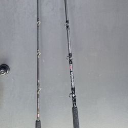 Penn Ally ll West Coast Fishing Rod