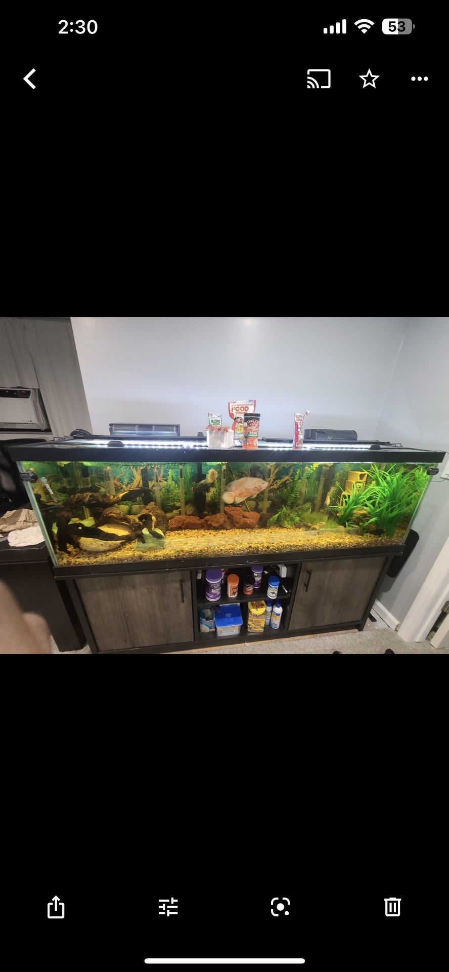 125 Gallon Fish Tank