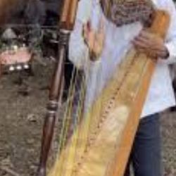 CLASES DE ARPA 60 ADOMICILIO INCLUYE ARMONIA SOLFEO Y TEORIA MUSICAL