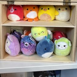 Mini squishvillie!