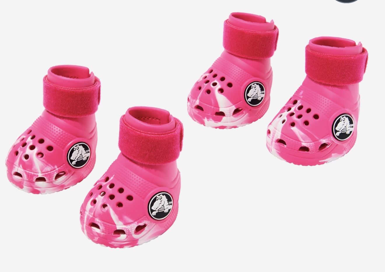 Medium Dog Crocs