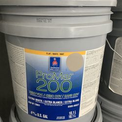 Interior Paint (Mega Greige)