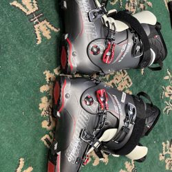 PanTerra Ski Boots