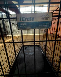 Dog Cage