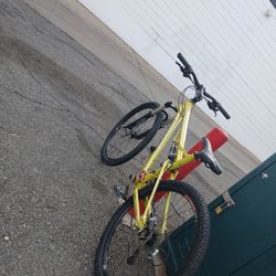 2006 Gold Ironhorse Azure Comp With Ritchie Rich Components 