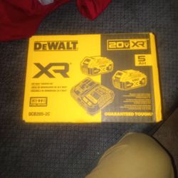 DeWalt 20 Volt Max XR Battery Starter Kit