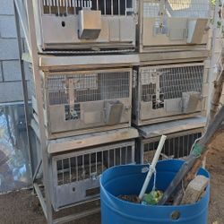 Rabbit Kennel Cages Chicken Cage
