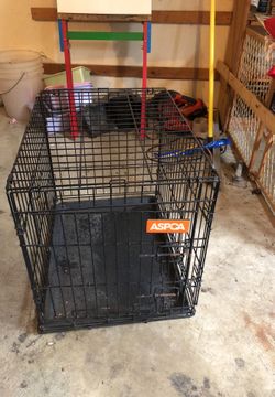 dog cage 24x20