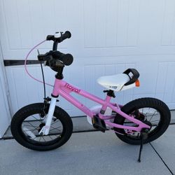 14 Inch Bike 