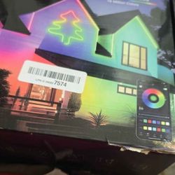 Neon Led Light Outdoor /indoor