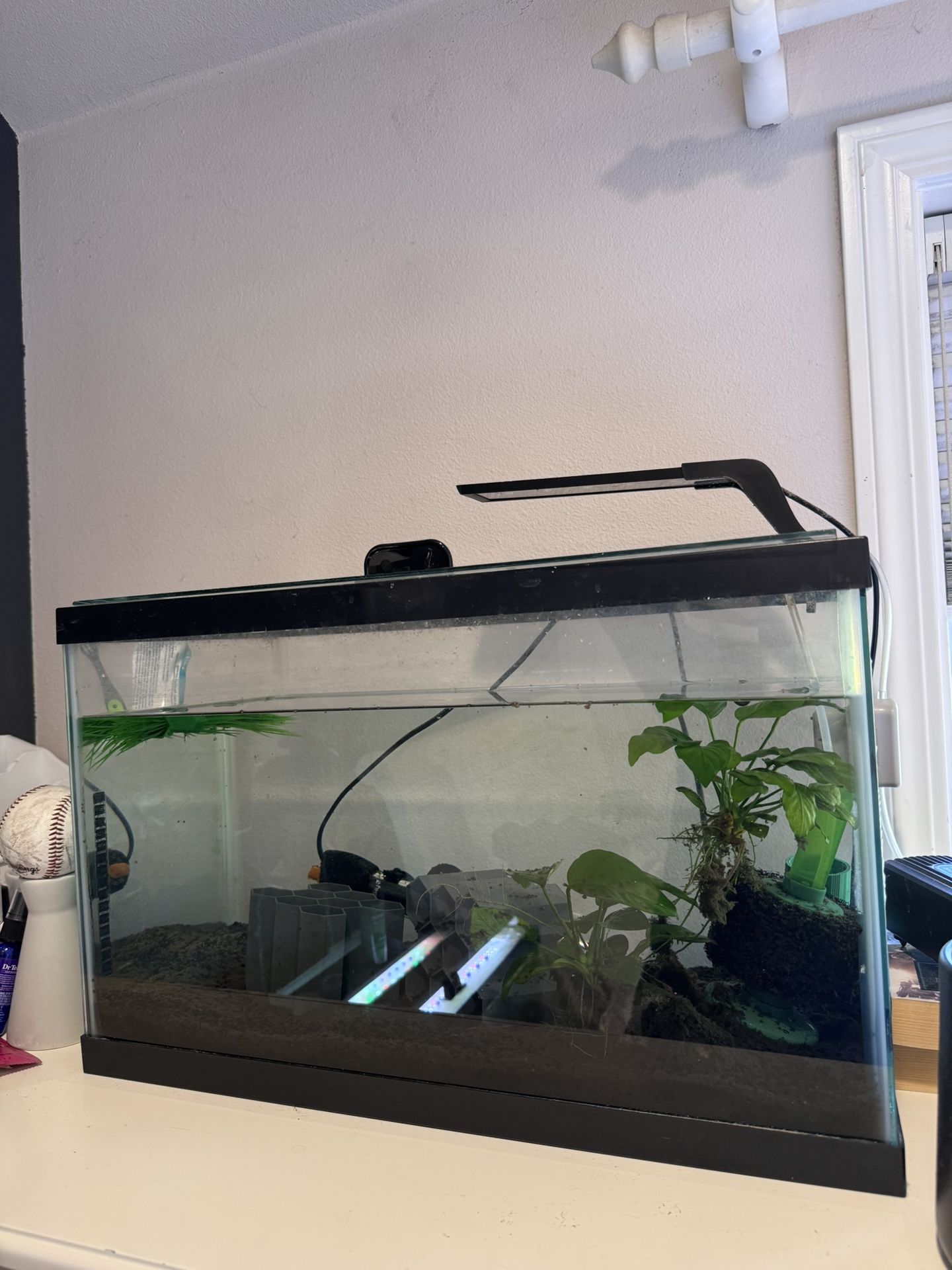 10 Gallon Fish tank With Lid