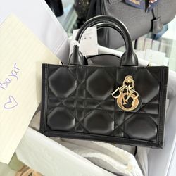 Mini Dior Book Tote 