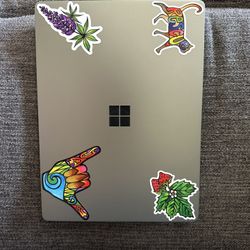 Microsoft Surface Laptop Go