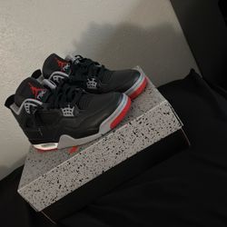 Air Jordan 4 Retro Bred Reimagined 24” 