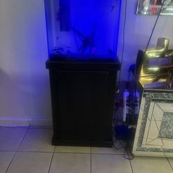 Fish Tank Stand Filter Not Light