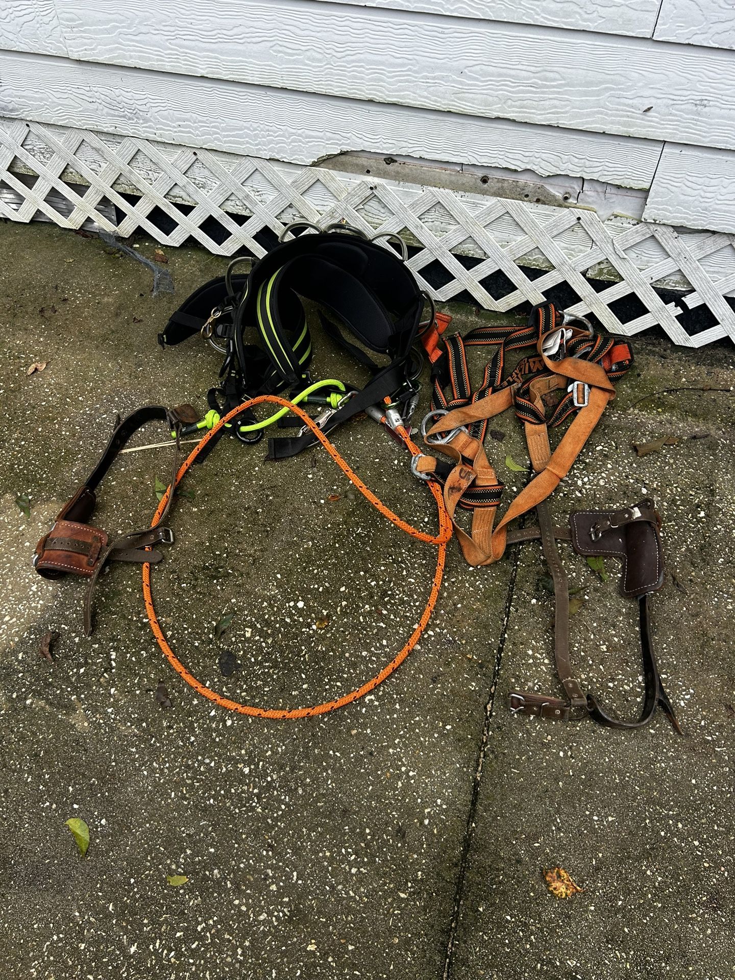 Lumberjack equipment Tree Cutting harness