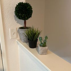 Fake Plants