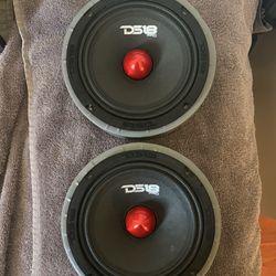 DS18 6.5 Speakers 