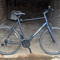 XL hybrid Bikes 