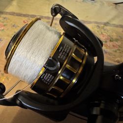 Daiwa BG 4000 Spinning Reel Salt Water 