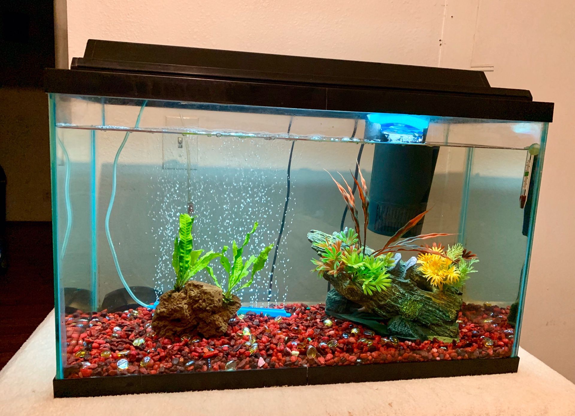 29 Gallon Fish Tank