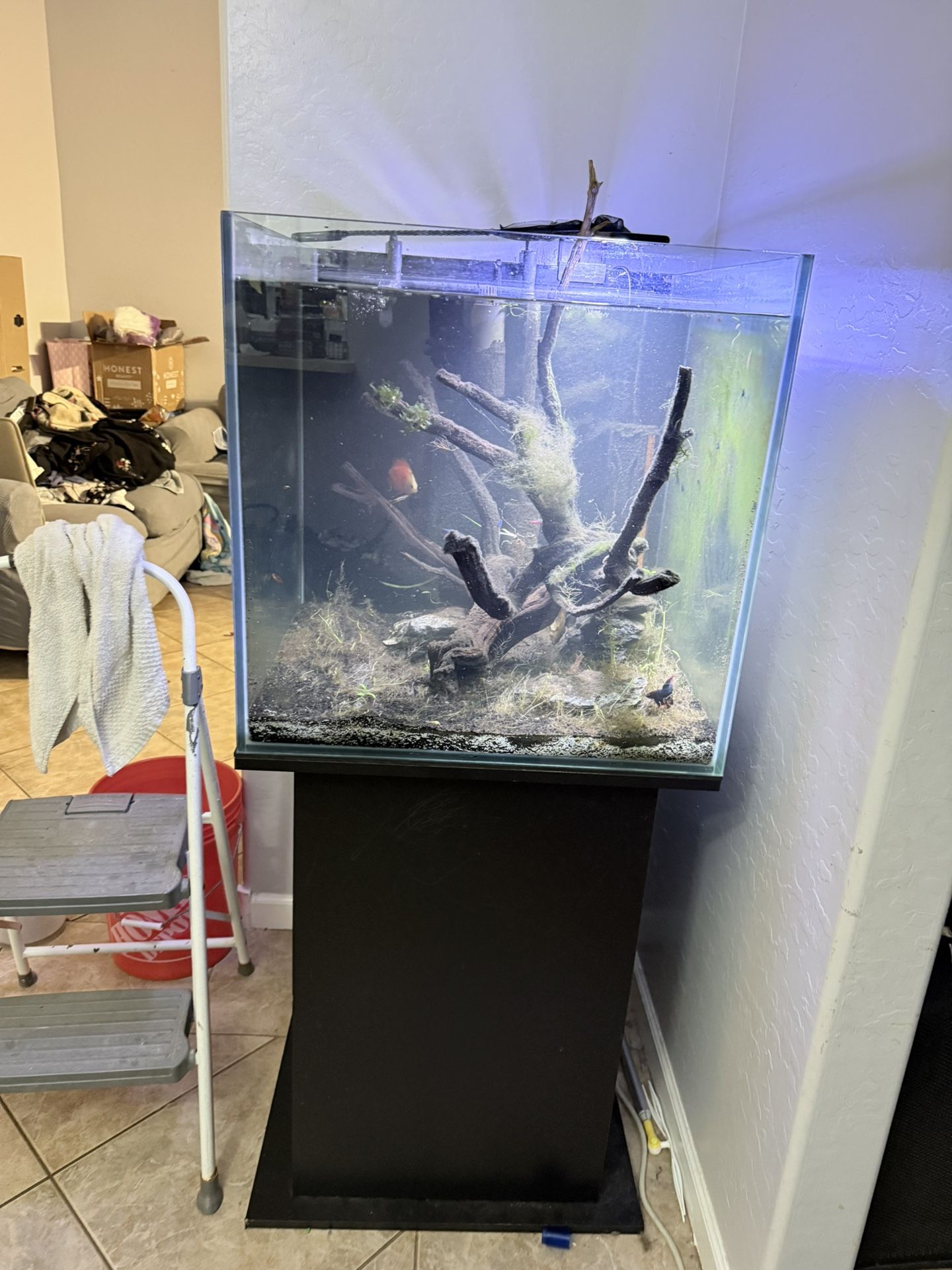 Complete 60 Gallon Fish tank