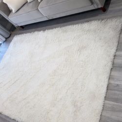 Ivory Carpet 