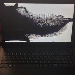 Broken Screen Laptop $50