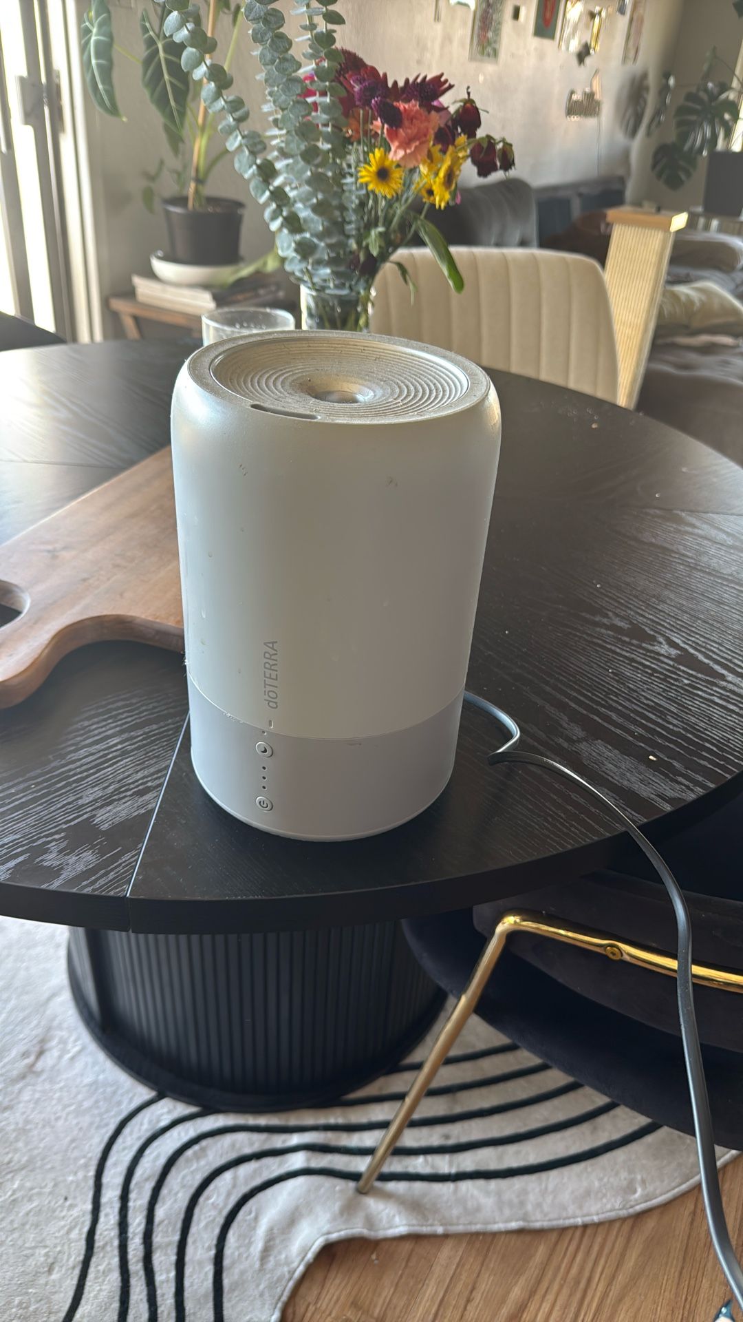 Doterra Ultrasonic Humidifier