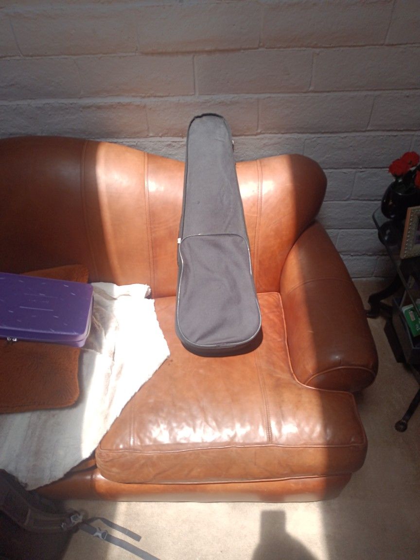 ADM Violin Case