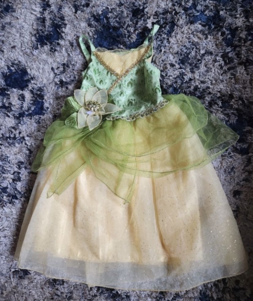 Authentic Disney Princess Tiana Dress