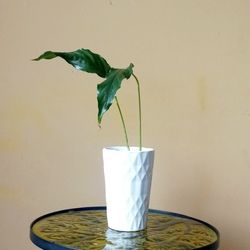 Lush Trendy Peace Lily Plant/ House Plant/ Indoor Plant Flower Patio Garden 