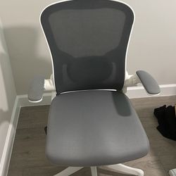 Ergonomic Office Chair
