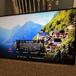 LG 65 Inch Smart TV
