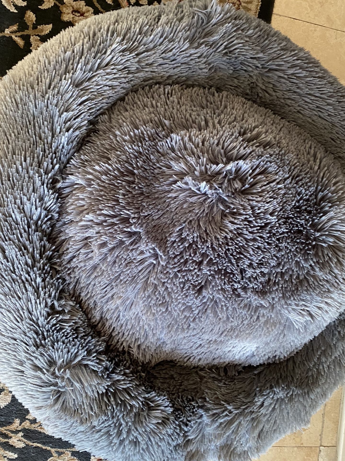 dog bed