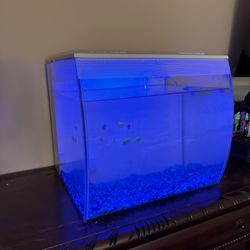 15 Gallon Fish Tank