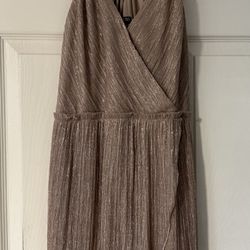 Express Rose gold Sexy Dress