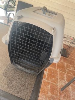 Dog taxi
