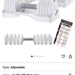 Adjustable Dumbbells 