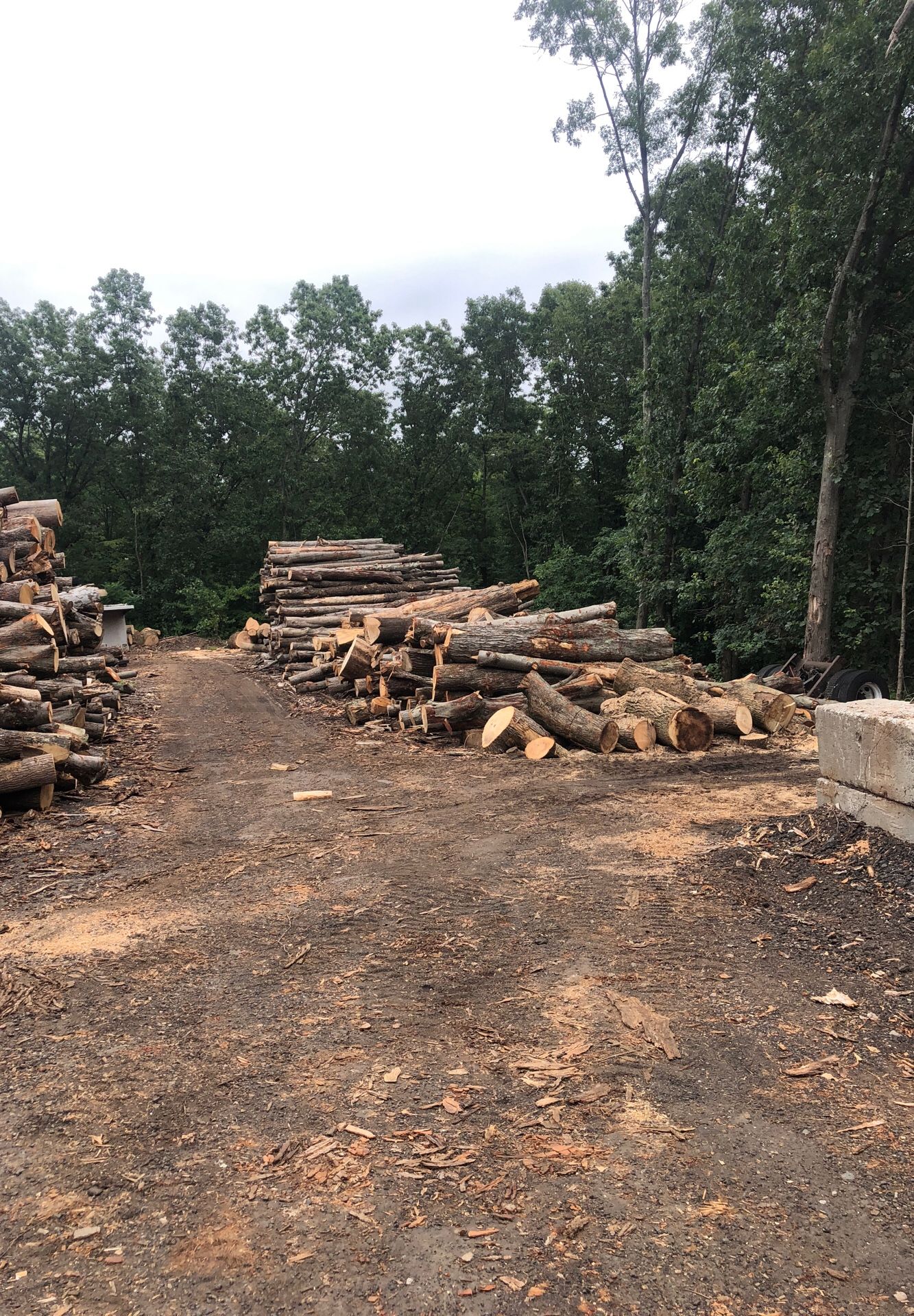 Log length Firewood for Sale in Prospect, CT OfferUp