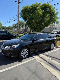Tint for sale